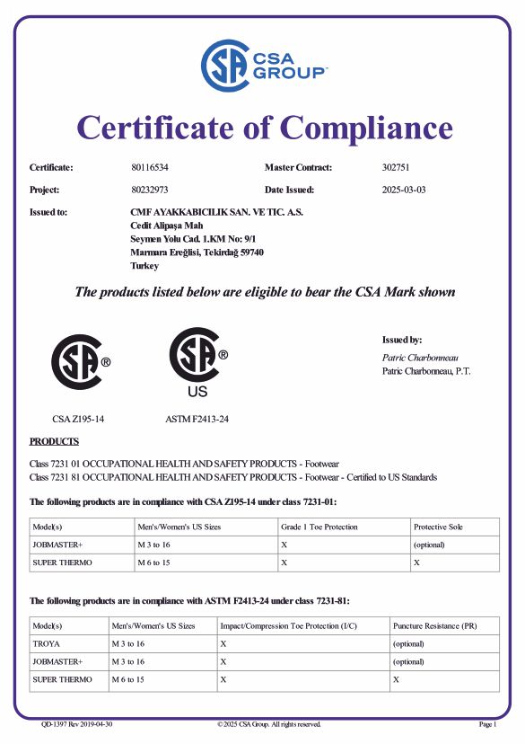 SA CSA GROUP CERTIFICATE